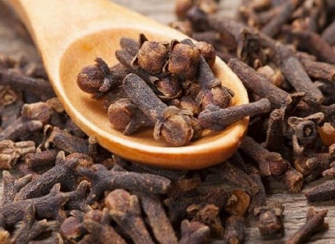 تصویر 1 از خرید و قیمت گیاه دارویی میخک + فروش صادراتی